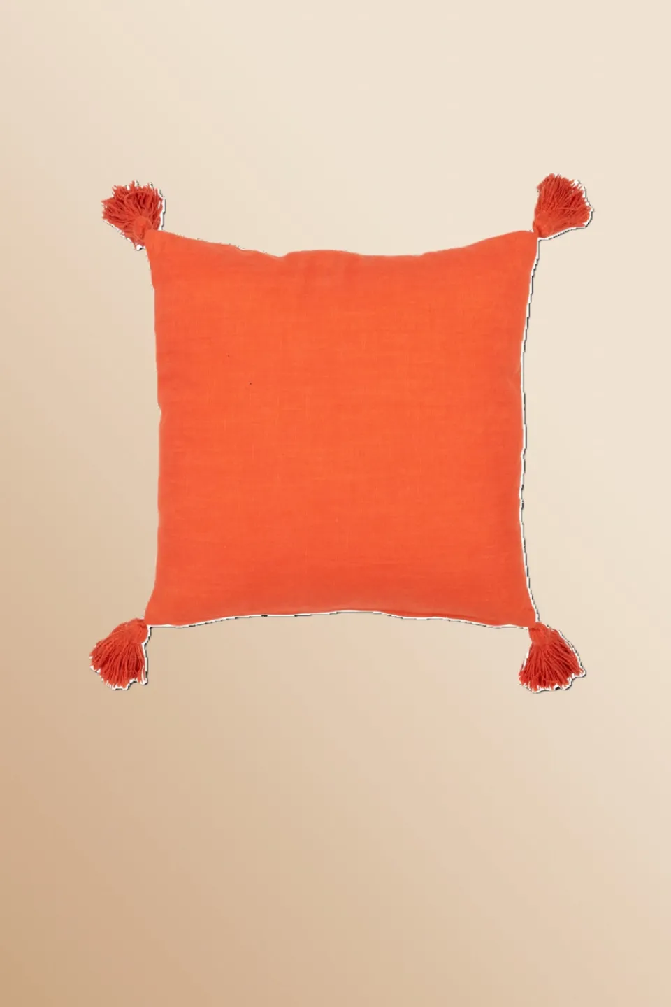 Antoine et Lili Coussin Brodé 45x45cm Hot