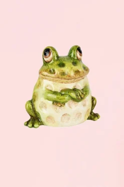 Antoine et Lili Grande Grenouille Paul Online